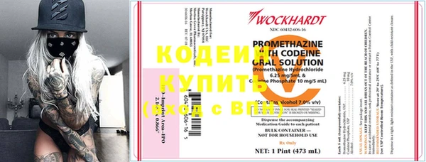 ECSTASY Бородино