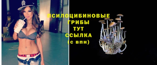 герыч Бронницы