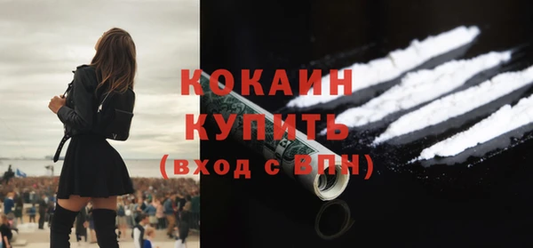 ECSTASY Бородино