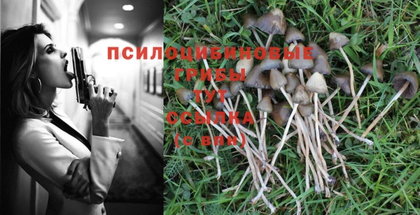 ECSTASY Бородино