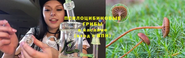ECSTASY Бородино