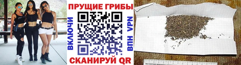 Псилоцибиновые грибы Magic Shrooms  Купить где  Белозерск 